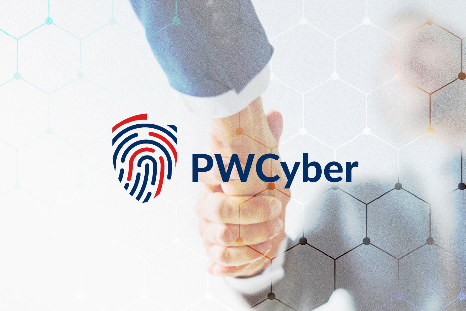 Perceptus w PWCyber